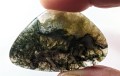 Agat mszysty kaboszon
Rozmiar kamienia 5 cm x 3,1 cm