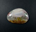 Jaspis muszelkowy, kamień do biżuterii
Rozmiar kamienia 4,7cm x 3,5cm