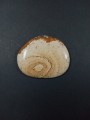 Jaspis pejzażowy kaboszon do oprawy 
Rozmiar kamienia 4,2 cm x 3,5 cm