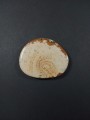 Jaspis pejzażowy kaboszon do oprawy 
Rozmiar kamienia 4,2 cm x 3,5 cm