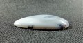 IMG_20201121_230306.jpg
