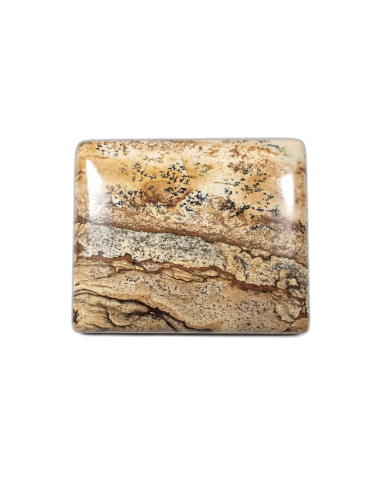 Brosza z jaspisu pejzażowego
rozmiar kamienia 50mm x 42mm
zapinka stal nierdzewna