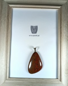 Wisiorek Jaspis na posrebrzanej zawieszce 