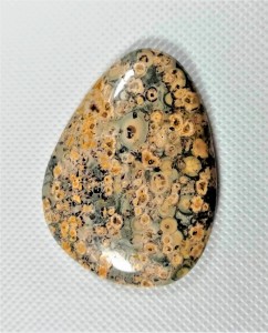 Jaspis leopard kaboszon 5,1cm x 4,7cm
