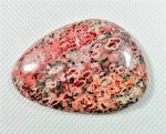 Jaspis leopard kaboszon  4,7cm x 3,2cm