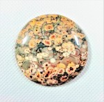 Jaspis leopard kaboszon 4cm x 4 cm