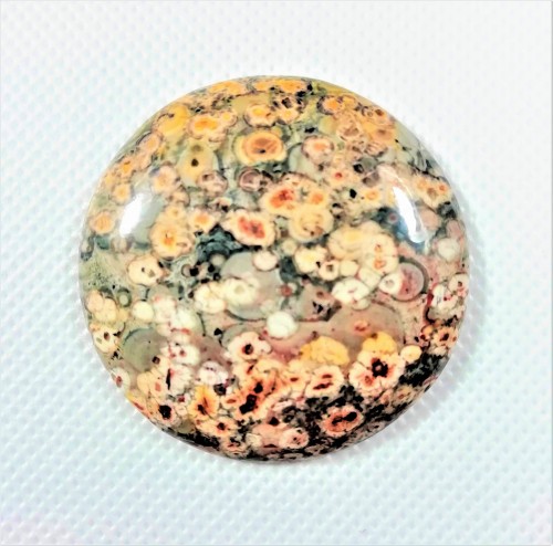 Kamień 4cm x 4cm do biżuterii Jaspis leopard 
szlif kaboszonowy pojedynczy