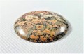 Kamień 4cm x 4cm do biżuterii Jaspis leopard 
szlif kaboszonowy pojedynczy
