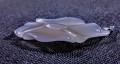 Półprzeźroczysty chalcedon w kształcie kwiatu nasturcji z zawieszką ze stali szlachetnej
Rozmiary kamienia 6,5cmx5,2cm.